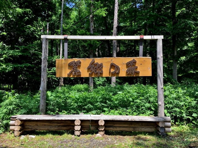 6 . 北の国からの聖地巡礼におすすめ「麓郷の森」