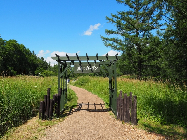 8. ドラマのロケ地としても有名！富良野に広がる庭園「風のガーデン」