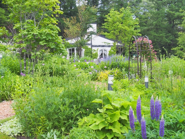 富良野の観光名所はいかがでしたか？