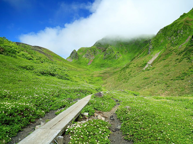 3. 大自然を体感！ 登山やドライブが人気「八幡平」
