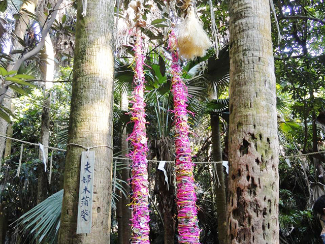 3. 青島神社 / 宮崎市