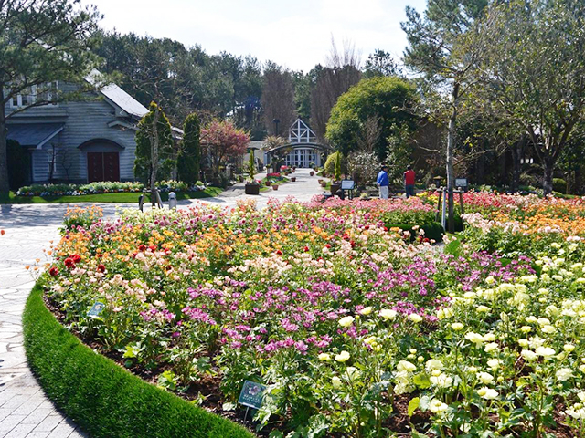 17. フローランテ宮崎 / 宮崎市