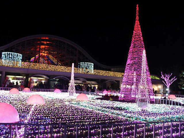 17. フローランテ宮崎 / 宮崎市