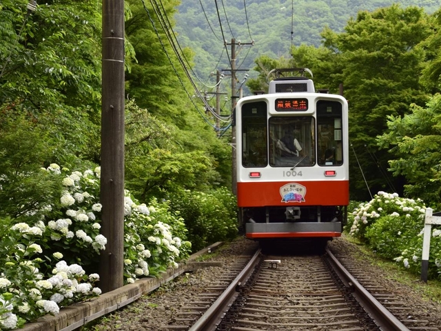 箱根のアクセス方法！ 箱根登山電車に乗ろう♪