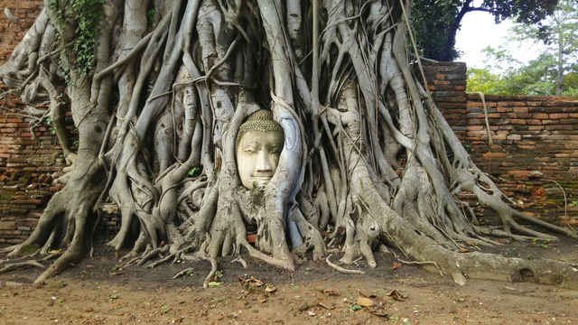 ワット マハータート