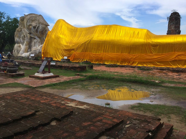 ワット ローカヤースッター