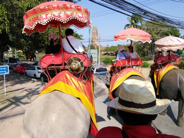 アユタヤ　エレファントキャンプ