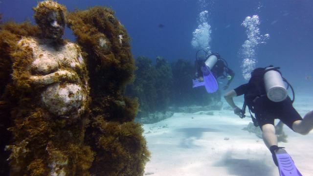 カンクン海底美術館も鑑賞できる！？ ダイビング＆シュノーケリング