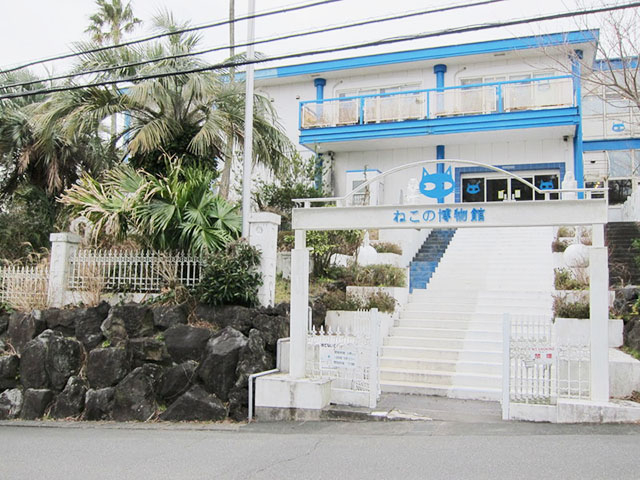 5. ふれあい広場もある「ねこの博物館」 / 伊東・伊豆高原