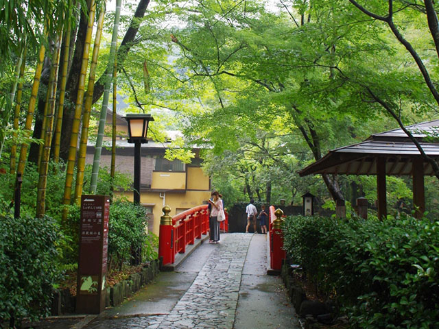 7. 温泉街を通る散策道「竹林の小径」 / 修善寺温泉