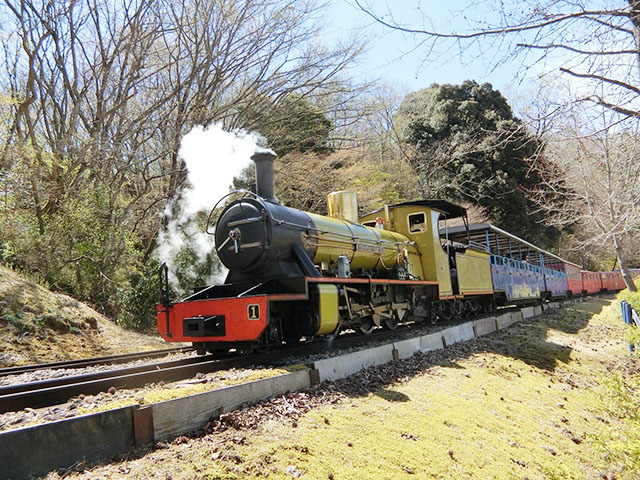 8. 伊豆の花と緑が美しい「修善寺虹の郷」 / 修善寺温泉