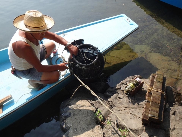 8. 四万十の天然ウナギ