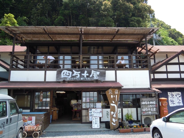 8. 四万十の天然鰻