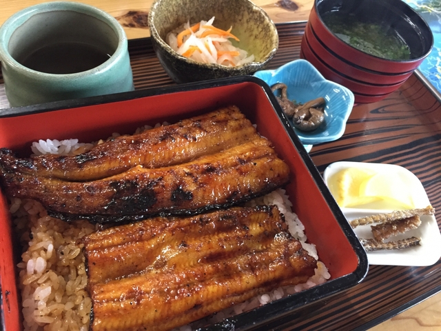 8. 四万十の天然鰻