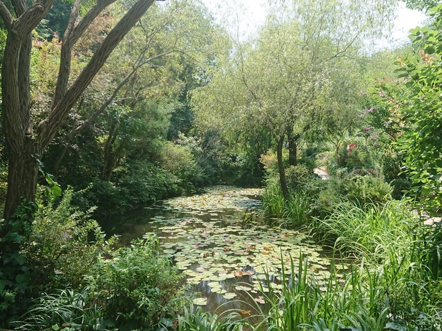 1. 自然とアートの融合を体感「地中美術館」