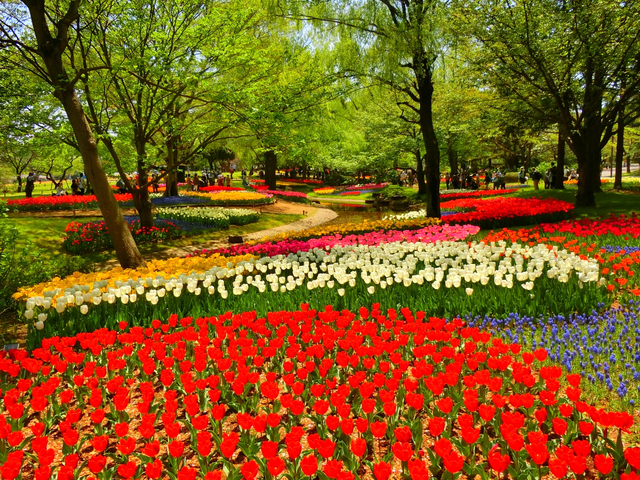 国営昭和記念公園