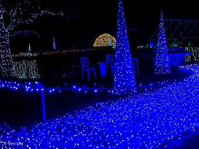 3. 1年中見られる！ 美しいイルミネーション「白浜古賀の井リゾート＆スパ」