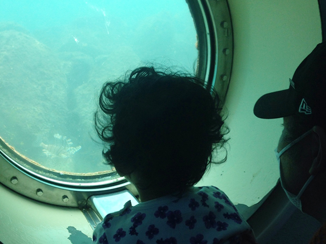 14. 水深約8m！ 服を着たまま海中を楽しめる「白浜海中展望塔」