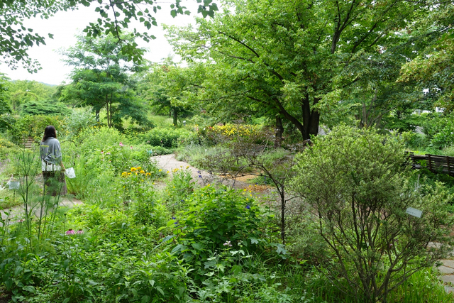 メディカルハーブガーデン生活の木薬香草園