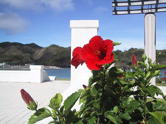 小笠原諸島の気候