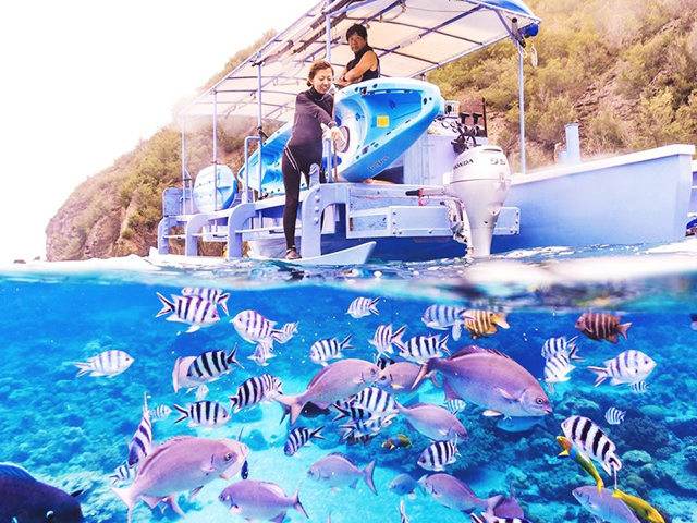 小笠原諸島のおすすめツアー