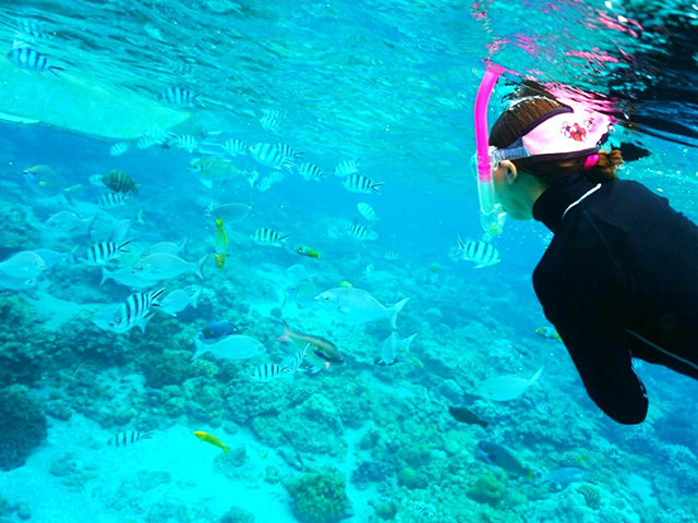 2. サンゴや南国の魚たちがいっぱい「シュノーケリング」「ダイビング」