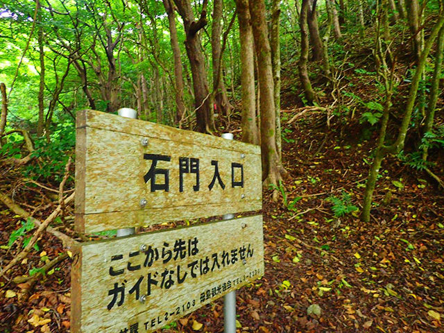 5. 固有種の生き物にも出会える「ネイチャーツアー」「トレッキング」