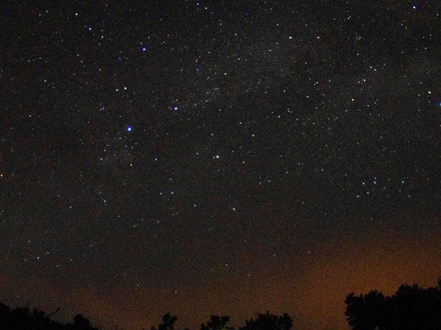 7. 自然の神秘に感動「ナイトツアー」「星空ウォッチング」