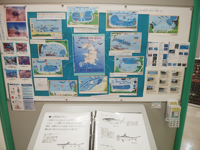 2. 小笠原ビジターセンター / 父島