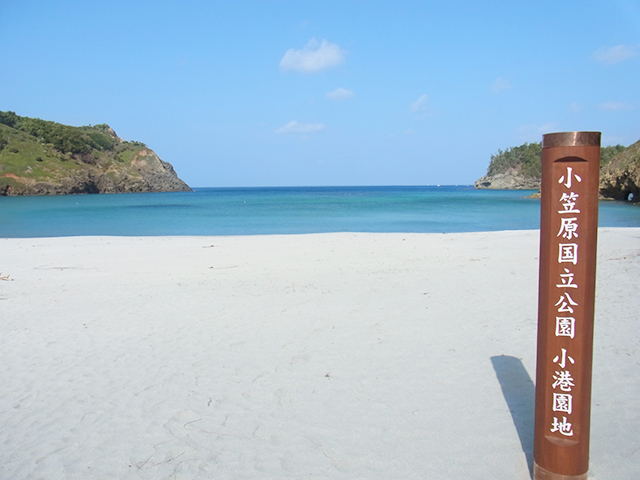 3. 小港海岸 / 父島