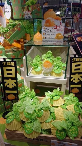 芦北のデコポンゼリー / 熊本菓房