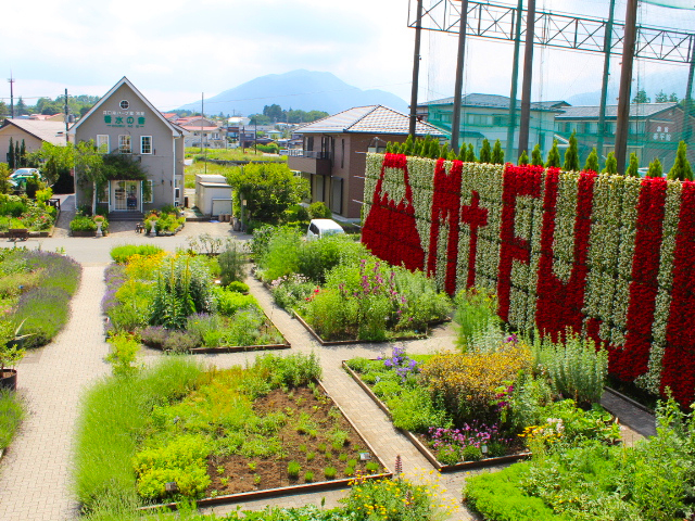 7. 河口湖ハーブ館