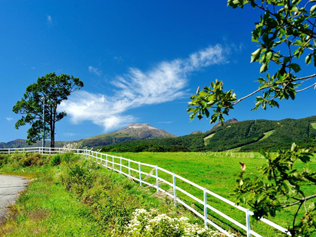 那須のランチはいかがでしたか？