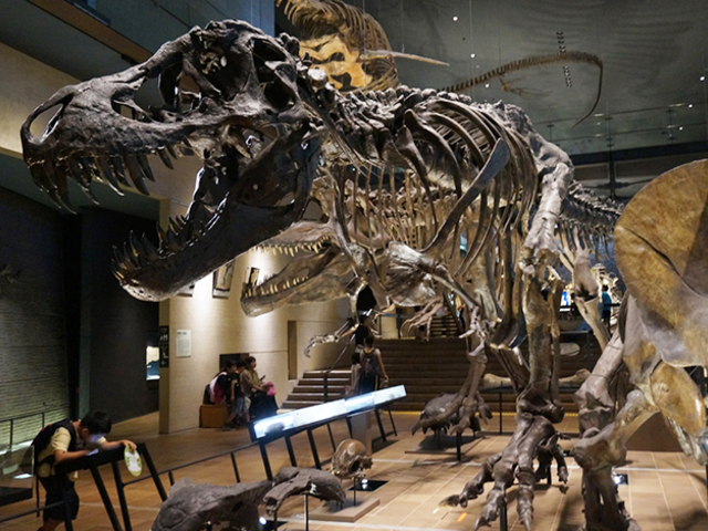 小倉のおすすめ観光スポット選 今 北九州で注目のオシャレエリア トラベルマガジン