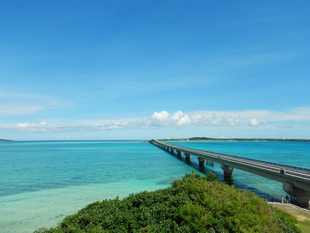 沖縄そばを食べに沖縄に行きませんか？