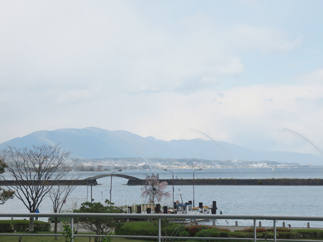 16. レストラン ザ ガーデン