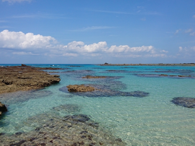 2. 奄美トップクラスの美しさ「土盛海岸」