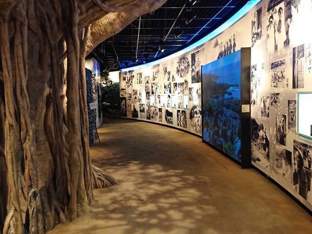 4. 奄美の文化や産業を知る「鹿児島奄美パーク」