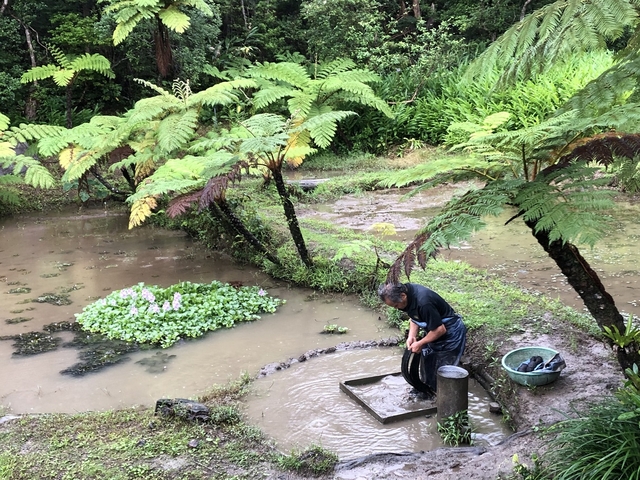 9. 奄美の特産品を作って楽しむ「大島紬村」