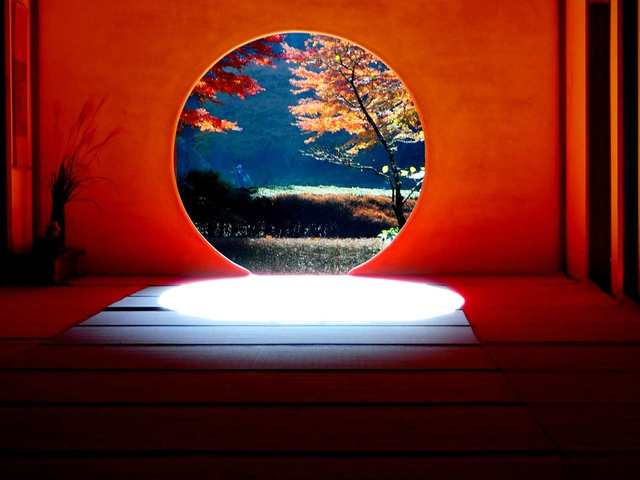 明月院(あじさい寺)