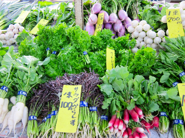 鎌倉市農協連即売所