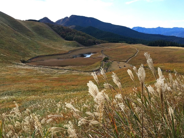 17. 曽爾(そに)高原