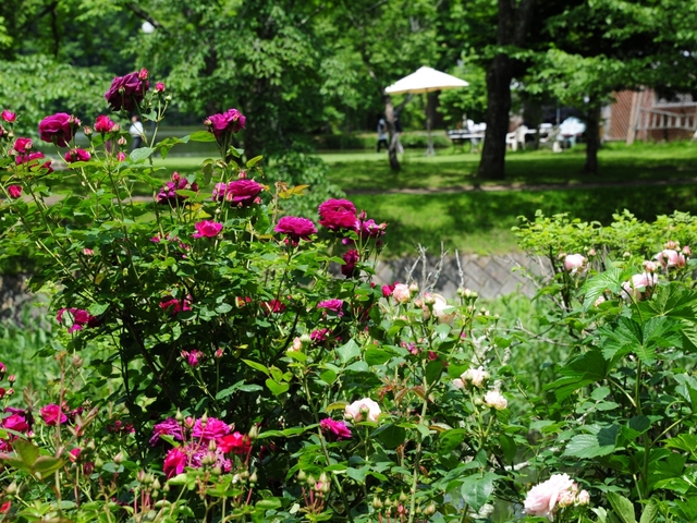 軽井沢タリアセン