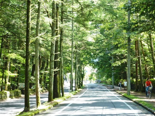 軽井沢のおすすめスポットはいかがでしたか？