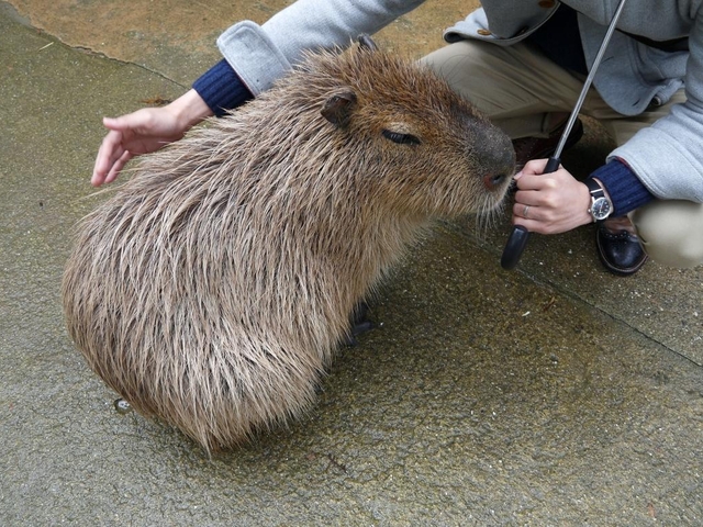16. 長崎バイオパーク / 西海