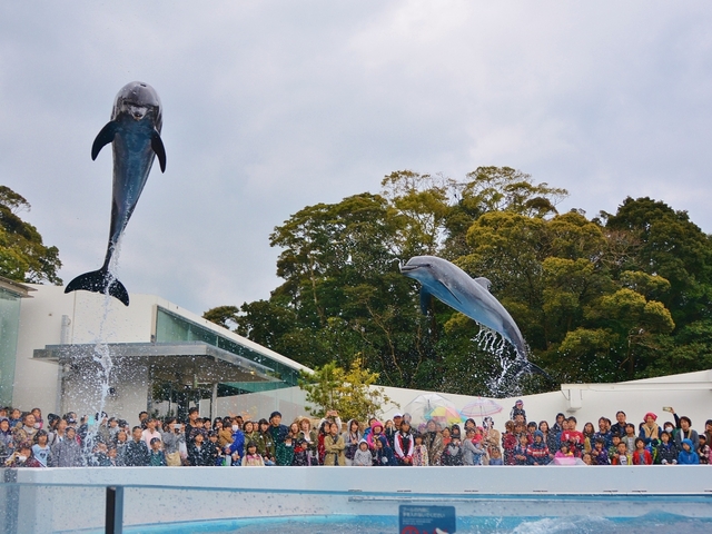 18. 九十九島パールシーリゾート / 九十九島