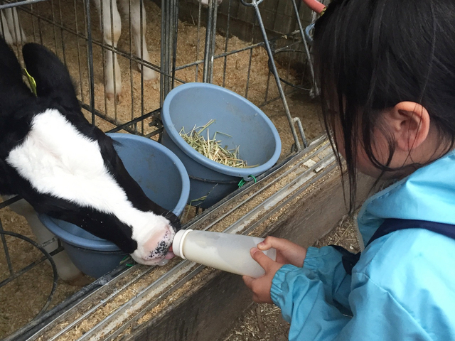14. 六甲山牧場 / 六甲山・摩耶山