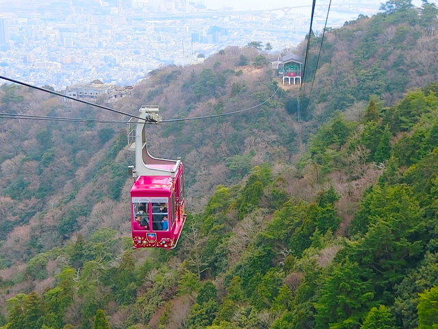 16. 掬星台(きくせいだい) / 六甲山・摩耶山