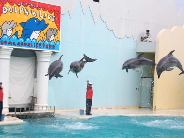 17. 神戸市立須磨海浜水族園