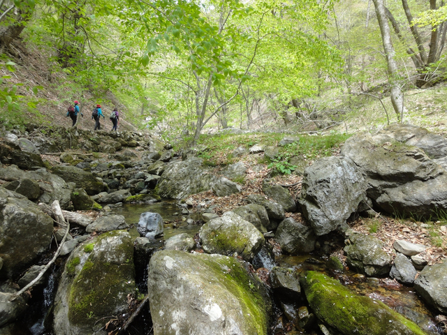 御岳山 / 東京 / 夏